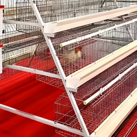 Cages industrielles automatiques économiques pour 1000 poulets, cage de poulailler métallique pour poulets, cage à poulets type H à 4 niveaux pour poules pondeuses