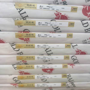 Papel Couché de 128 g/m² Tamaño A3 para Impresión de Folletos de Gran Formato - Product Image 2