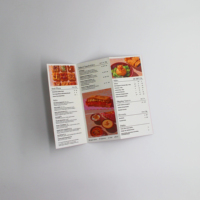 Brochure pliante OEM A4 A5 A6 personnalisée Brochure imprimée Brochure manuelle Instructions Papier couché Voyage Brochure pliée