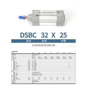 Pour cylindre de type Festo DSBC40/50/63/80/100/125 Pièces pneumatiques avec 25*50X75/150/200PPVA-N3 - Product Image 3