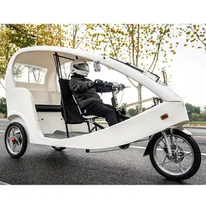 Umwelt freundliches CE 1000W Miet geschäft Elektrisches Dreirad-Dreirad-Moto-Taxi mit Pedalen