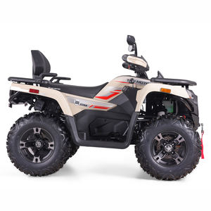 <span class=keywords><strong>Cuatrimoto</strong></span> Tao 2026 de 300cc, 4 Tiempos, a Gasolina, para Adultos, Resistente, con Marco de Acero de Alto Carbono, Transmisión Automática por Eje, Todoterreno - Product Image 6