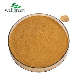 USDA Extracto orgánico natural en polvo Extracto de hongo melena de León Extracto de melena de León en polvo Extracto De Melena De León - Product Image 1