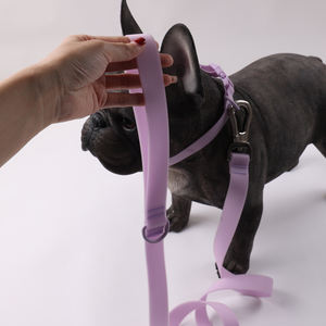 Conjunto de correas de poliéster impermeable suave de Pvc duradero colorido personalizado, conjunto de correas de collar de perro pequeño para caminar plomo - Product Image 5