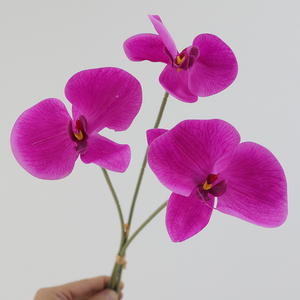 Plante artificielle Phalaenopsis de luxe imprimée en 3D pour la décoration de la maison, du salon, des mariages, des tables et comme guide d'allée, fleur artificielle - Product Image 2