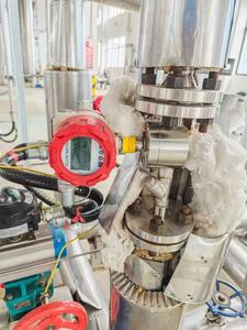 Kleine ovale tandwieldebietmeter van roestvrij staal met LCD-display voor aardgas, common rail bench, OEM aanpasbaar - Product Image 6