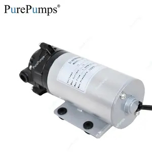 1MPa high pressure DC 12v motor mineral water RO system booster pump