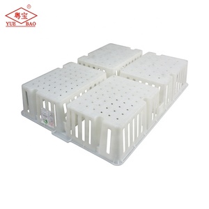 Cajas de transporte de pollos de plástico a precio competitivo-Caja de pollitos viejos de día Transporte de pollitos - Product Image 1