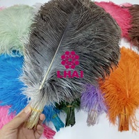 Couleurs teintées 16-18 ''40-45cm plumes de queue de plume d'autruche Plumas pour vêtement de mariage robe accessoire fête Festival carnaval
