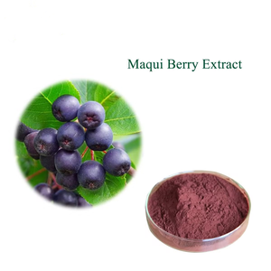 Suministro de Fábrica a Granel de Extracto de <span class=keywords><strong>Maqui</strong></span> Berry en Polvo Natural, Polvo de <span class=keywords><strong>Maqui</strong></span> Berry, Antocianina 25% 35% - Product Image 4