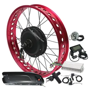 Kit de conversion de vélo électrique 20 pouces avec batterie en option pour moteur de moyeu avant 20 pouces jante à gros pneus 20x4 et moteur de moyeu fatbike électrique