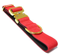 Collar Táctico de Nailon Personalizado de Alta Calidad para Perro, Acolchado, Resistente, Color Personalizado, Ajustable, Lavable a Máquina, Cierre Metálico de Liberación Rápida