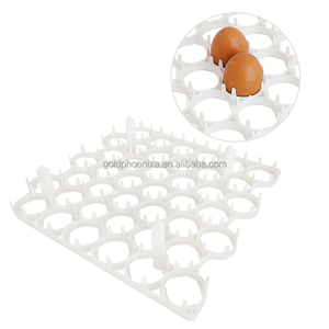 Bandeja de incubación de <span class=keywords><strong>huevos</strong></span> de celdas de plástico YYC para incubadora de <span class=keywords><strong>huevos</strong></span> de <span class=keywords><strong>gallina</strong></span> bandeja de <span class=keywords><strong>huevos</strong></span> de <span class=keywords><strong>gallina</strong></span> - Product Image 1