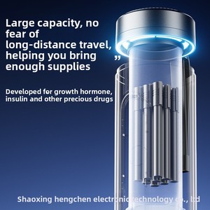 New Compact 12V Portable Insulin <b>Cooler</b> Box Rechargeable Car Refrigerator Airplane Friendly Insulated Case - Product Image 4