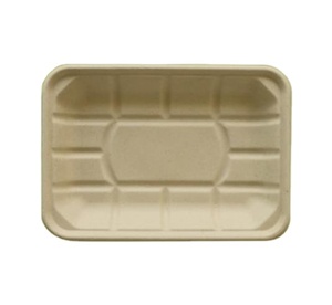 Bandejas Biodegradables <span class=keywords><strong>BIOPACK</strong></span> Tray48 de Bagazo de Caña de Azúcar para Alimentos, Carne, Verduras, Frutas, Uso en Fiestas, con Tamaño y Logotipo Personalizados - Product Image 3