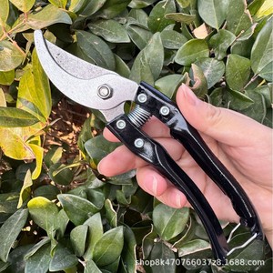 Fruit Pruning <b>Shears</b> 20-30 Mm Bypass Pruner Carbon Steel Manual Garden <b>Tool</b> For Fruit Trees - Product Image 3