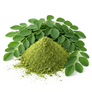 Mejor Precio en Polvo de Moringa en Stock - Product Image 1