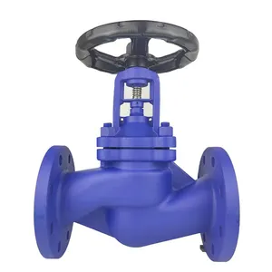 WCB Or Stainless Steel Bellows Globe Valves For Steam