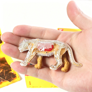 Juego de Juguetes de Anatomía de Animales Salvajes para Decoración de Mesa, Esqueleto de Animal <span class=keywords><strong>3D</strong></span> para Armar - Product Image 2