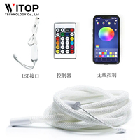 Vente chaude 360 Degrés Circulaire Maille Néon LED Bande Lumineuse Intelligente RGBIC Flexible Silicium Rêve Couleur Corde Bande Lumineuse DC5V WS2812B