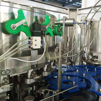 Machine de remplissage et de sertissage par gravité avec précision de ±1 %, purge à l'azote, système d'automatisation personnalisable pour l'embouteillage de boissons énergisantes et de jus