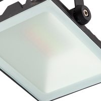 Tuya Smart IP65 Étanche 20W 50W 80W Extérieur RGB Projecteur Dimmable Télécommande Projecteur