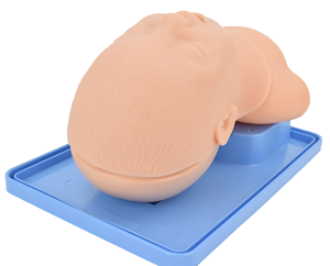 新生児抜管トレーニングモデル経口および鼻挿管幼児看護幼児人体解剖学モデル医学 - Product Image 5
