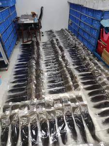 Letsfly Promoción de $5, Cabello Humano 100% Transparente, Frontal de Encaje 13x4, Cierre 4x4, 10-22 Pulgadas, Liso y Rizado, Cierre de Cabello Remy 9A - Product Image 3