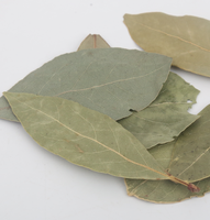 Feuilles de Laurier Séchées AD de Haute Qualité Fournies par l'Usine