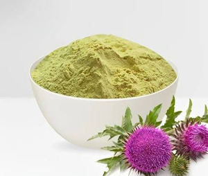 ผงสารสกัดแห้งจากมิลค์ธิสเทิล (Silybum Marianum) คุณภาพพรีเมียม มาตรฐาน 80% ซิลิมาริน สารสกัดจากพืชธรรมชาติ สำหรับใช้ทางสมุนไพร - Product Image 6