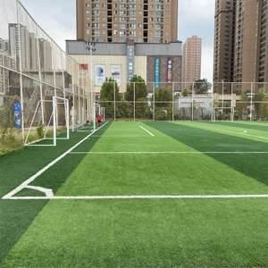 Équipement extérieur <span class=keywords><strong>de</strong></span> cour <span class=keywords><strong>de</strong></span> sports <span class=keywords><strong>de</strong></span> barrière <span class=keywords><strong>de</strong></span> football <span class=keywords><strong>de</strong></span> <span class=keywords><strong>basket</strong></span>-ball utilisé dans le terrain <span class=keywords><strong>de</strong></span> jeu <span class=keywords><strong>de</strong></span> parc d'école - Product Image 4