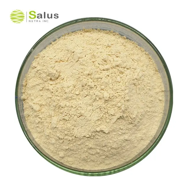 SALUS 도매 콩 이소플라본 40% 콩 추출물
