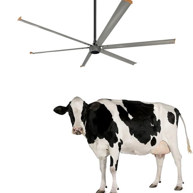 Large Fan Germany Motor 6 Blades Energy Saving Big Hvls Fan Bldc Ceiling Fan Motor