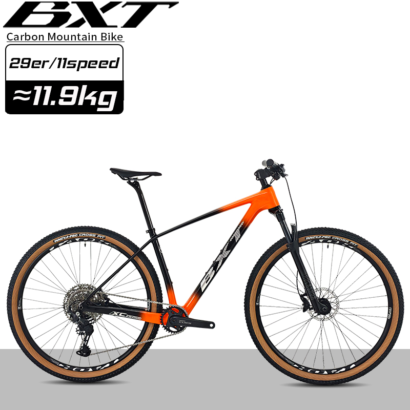 Rockshox Forks Premium Suspension for Mountain Bikes