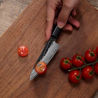 Paudin Classic 3.5 pouces couteaux à fruits japonais en acier damas cuisine couteau à éplucher Nature manche en bois d'ébène