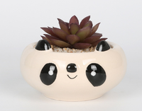 Vente en gros de pots de fleurs d'animaux succulents de dessin animé en porcelaine émaillée pour la décoration de la maison et du jardin