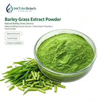 SUPER GREENS Extrait de poudre d'herbe d'orge et de chlorophylle 10:1, séché à l'eau, qualité alimentaire, en fût plastique, ISO/HALAL, OEM, en vrac