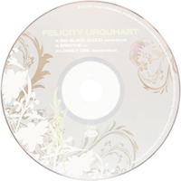 Disco CD-ROM para Anuarios Digitales, Disco Impreso de Alta Calidad para Distribución de Datos y Multimedia