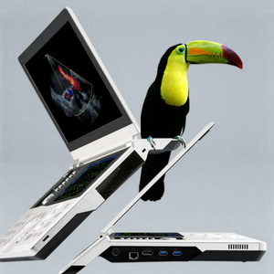 Ecógrafo Veterinario Portátil <span class=keywords><strong>VINNO</strong></span> D5 con Batería Recargable para Ecografía Animal, Examen Veterinario Móvil al Aire Libre, Diagnóstico Hospitalario - Product Image 5