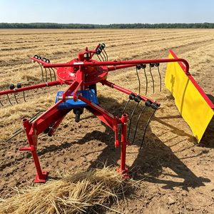 Râteau rotatif à foin <span class=keywords><strong>double</strong></span> pour tracteur agricole, entraîné par prise de force, suspension 3 points, fabriqué en Chine - Product Image 5