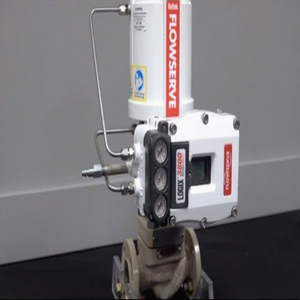 Logix 3800 Digital HART 7 <b>Foundation</b> Fieldbus SIL 3 IP66/67 Linear/Rotary ATEX/IECEx 0.1% Accuracy Aluminum Industrial Use - Product Image 2