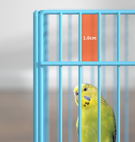 Cage de transport portable pour oiseaux de compagnie, cage de voyage pour perroquet avec mangeoire, respirante, légère, petit transporteur pour animaux de compagnie