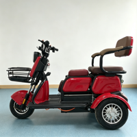 Tricycle électrique à 3 roues de haute qualité, vente directe d'usine chinoise, batterie au plomb-acide 48V500W, tricycle électrique pour adultes à 2 places
