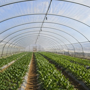 Film per <span class=keywords><strong>Serra</strong></span> di Alta Qualità Resistente ai Raggi UV <span class=keywords><strong>Copertura</strong></span> in Plastica Trasparente per Agricoltura - Product Image 3