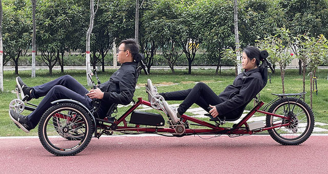 Bici Elettrica Tandem A Ruote E-Tandem Ruote Twinny Plus Pedalata