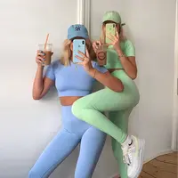 Yaz sıcak spor kısa kollu kırpma üst giyim 2 parça kadınlar dikişsiz Yoga seti