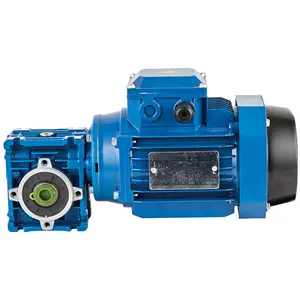 Speed Worm Drive Gear Reducer Gearbox Gearmotor