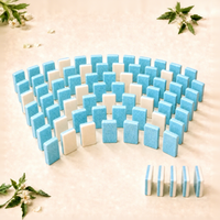 Set Mahjong Amerika 166 Ubin Motif Robin Egg Speckle Grosir, Koleksi Lengkap untuk Klub dengan Rak dan Penggeser untuk Permainan Kelompok