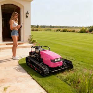 Tondeuse à gazon électrique 110V 220V, petite tondeuse à gazon manuelle au lithium de 4, 6, 9 pouces, multifonctionnelle, coupe les mauvaises herbes, coupe l'herbe, machine électronique - Product Image 3