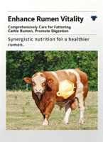 YIMER Additif alimentaire pour bétail à base d'acides aminés, prémélange favorisant la croissance, prémélange d'acides aminés pour l'engraissement du bétail